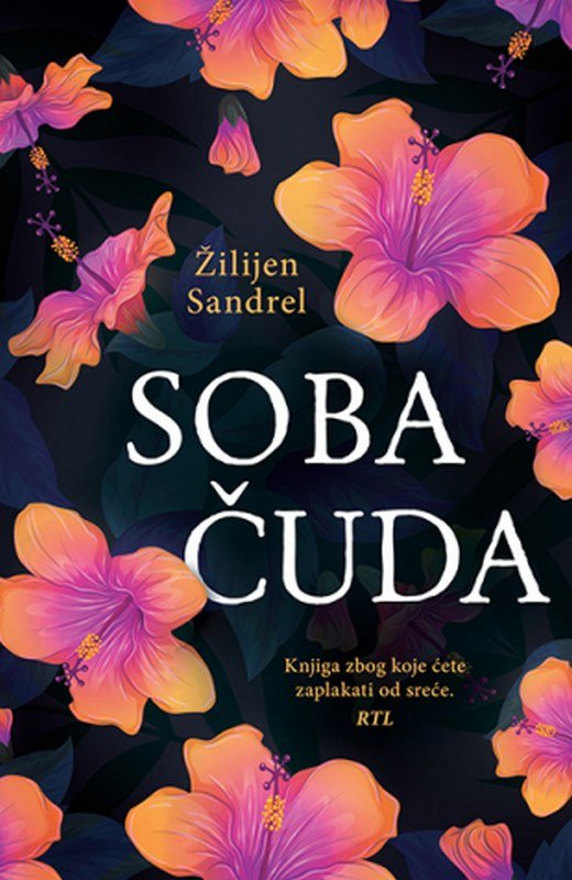 Soba cuda Zilijen Sandrel knjiga 2019 drama